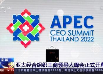 习近平在亚太经合组织工商领导人峰会上的书面演讲（全文）