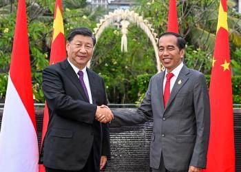 习近平同印尼总统佐科举行会谈