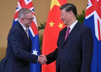 习近平会见澳大利亚总理阿尔巴尼斯