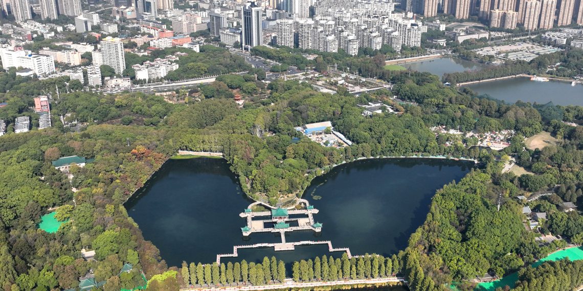 《湿地公约》第十四届缔约方大会部级高级别会议通过“武汉宣言”