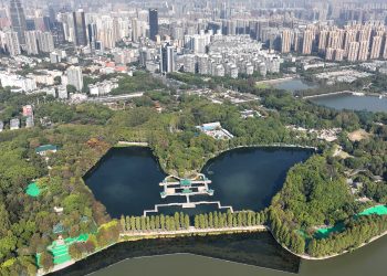 《湿地公约》第十四届缔约方大会部级高级别会议通过“武汉宣言”