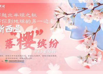 中新网直播：带你到地球的这一边，看新西兰落“樱”缤纷