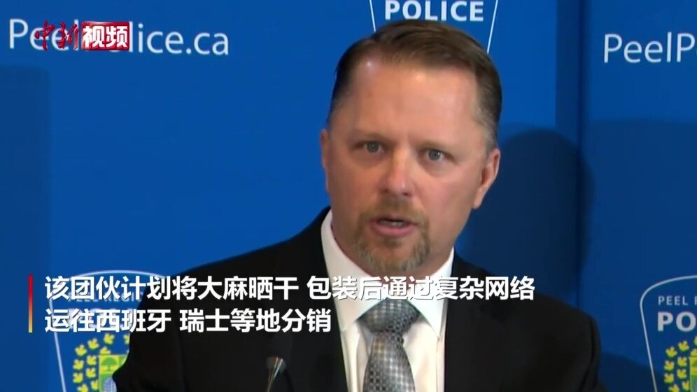 西班牙警方破获全球史上最大大麻贩运案