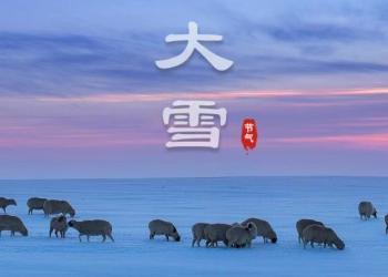 诗意节气 | 积阴成大雪（美图）