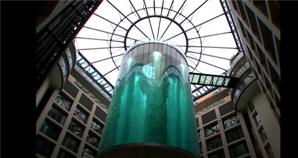 世界最大独立圆柱体水族馆爆裂:1500多条鱼全军覆没