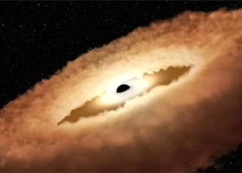 场面震撼！NASA捕获3亿光年外恒星被黑洞吃掉画面