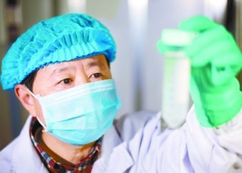 中国通过猪胰岛移植治糖尿病取得全球性突破