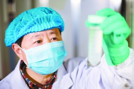 中国通过猪胰岛移植治糖尿病取得全球性突破