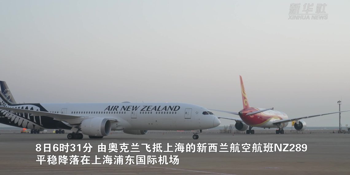 直击上海浦东国际机场旅客入境全流程（+视频）