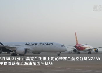 直击上海浦东国际机场旅客入境全流程（+视频）