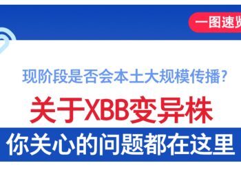 现阶段是否会本土大规模传播？关于XBB变异株，你关心的问题都在这里