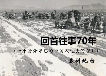 好评连连——网友热议长篇连载《回首往事七十年》