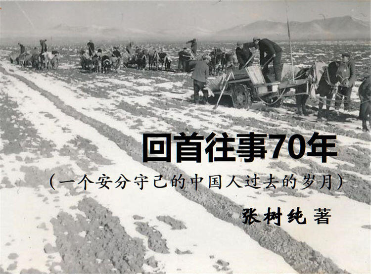 好评连连——网友热议长篇连载《回首往事七十年》