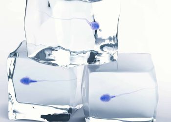 澳大利亚男子非法捐精　致同社区60个孩子模样相似