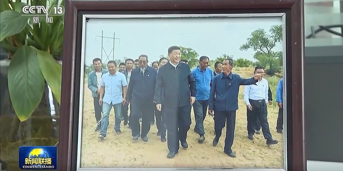 来自央视:总书记的人民情怀丨绿色发展 美丽家园