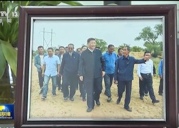 来自央视：总书记的人民情怀丨绿色发展 美丽家园