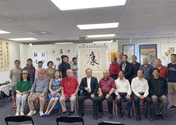 #image_New Zealand annual vision Chinese characters