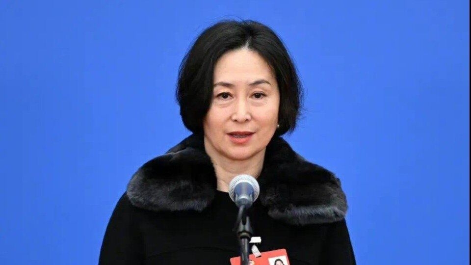 全国政协委员、全国工商联副主席何超琼:我是大湾区人