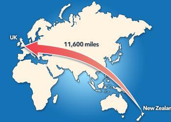 英国-新西兰。例图。