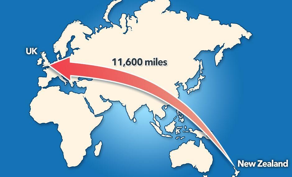 英国-新西兰。例图。