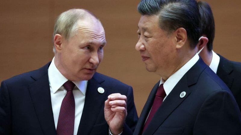 普京和习近平