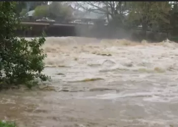 奥克兰北部的 Mahurangi River在暴雨之后形成湍急的洪水。