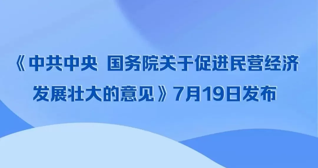 一图速览《中共中央　国务院关于促进民营经济发展壮大的意见》