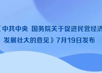 一图速览《中共中央　国务院关于促进民营经济发展壮大的意见》