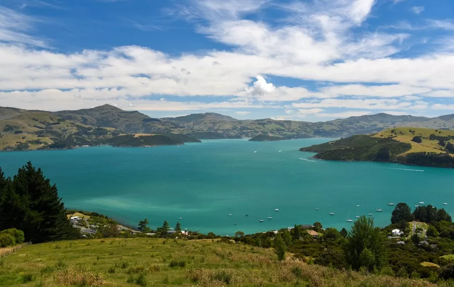 New Zealanders welcome return of tourism: survey