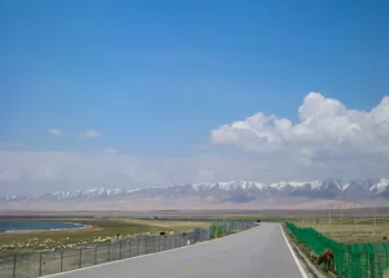 5月16日,青海湖环湖东路附近的一处围栏。