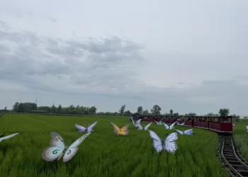 中国辽宁省沈阳市沈北新区的“稻梦空间”，将创意农业，稻米文化，锡伯文化与旅游服务相结合，打造出适合合家欢的农业产业园。图为稻田里的小火车和装饰蝴蝶。