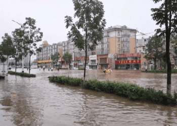 黑龙江、吉林暴雨：被淹没的稻田与失联的村民