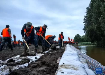 8月5日，陆军第78集团军某旅官兵在黑龙江齐齐哈尔市碾子山区地域加固岸堤。
