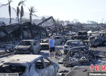 当地时间8月8日，夏威夷群岛第二大岛毛伊岛爆发野火并迅速蔓延，至8月12日已造成89人死亡。图为一名男子在野火重灾区拉海纳镇的废墟间穿行。