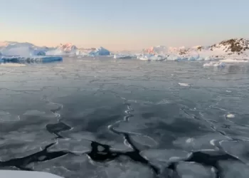 前景中的海冰非常薄 - 这是一种称为“nilas”的海冰，在风力非常低的条件下形成。