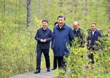 9月6日至8日，习近平在黑龙江考察。这是6日下午，习近平在大兴安岭地区漠河市漠河林场自然林区考察。