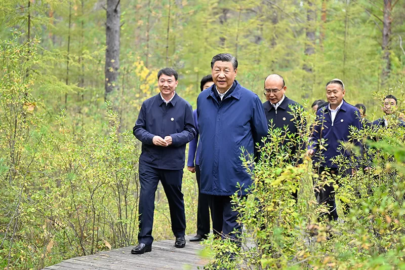 9月6日至8日,习近平在黑龙江考察。这是6日下午,习近平在大兴安岭地区漠河市漠河林场自然林区考察。