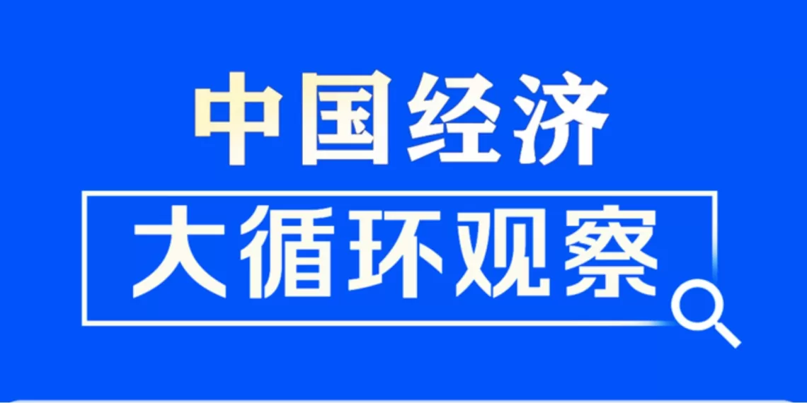 新华社长文：中国经济大循环观察