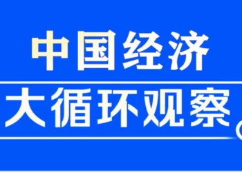 新华社长文：中国经济大循环观察