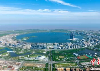 The picture shows an aerial view of the Lingang New Area of Shanghai FTZ.