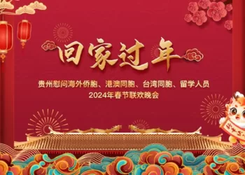 预告 《回家过年》