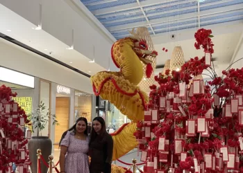 新西兰各地纷纷举办各种活动庆祝农历龙年新春