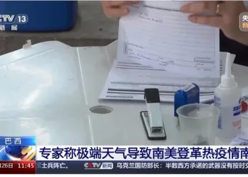 阿根廷今年以来确诊登革热病例数超10万