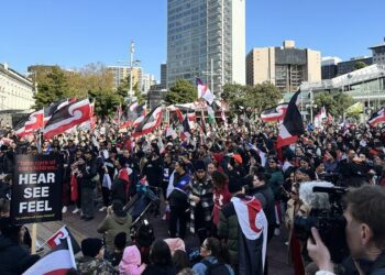 毛利人反政府抗议活动周四早上在新西兰全国展开