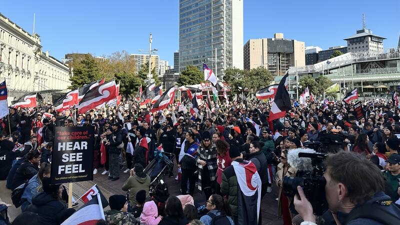 毛利人反政府抗议活动周四早上在新西兰全国展开