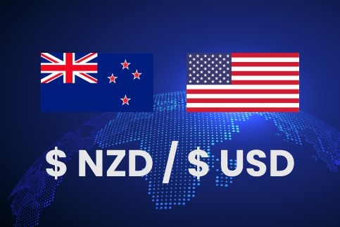 未来几个月纽元有可能进一步升值至0.6000左右