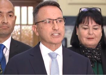 新西兰：议员大卫·麦克劳德因未申报选举捐款被解除要职
