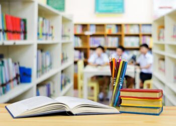 新西兰50%以上学校今年将实施分区招生