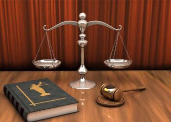 【特稿】澳大利亚一州通过法案　10岁儿童犯重罪将按成人量刑